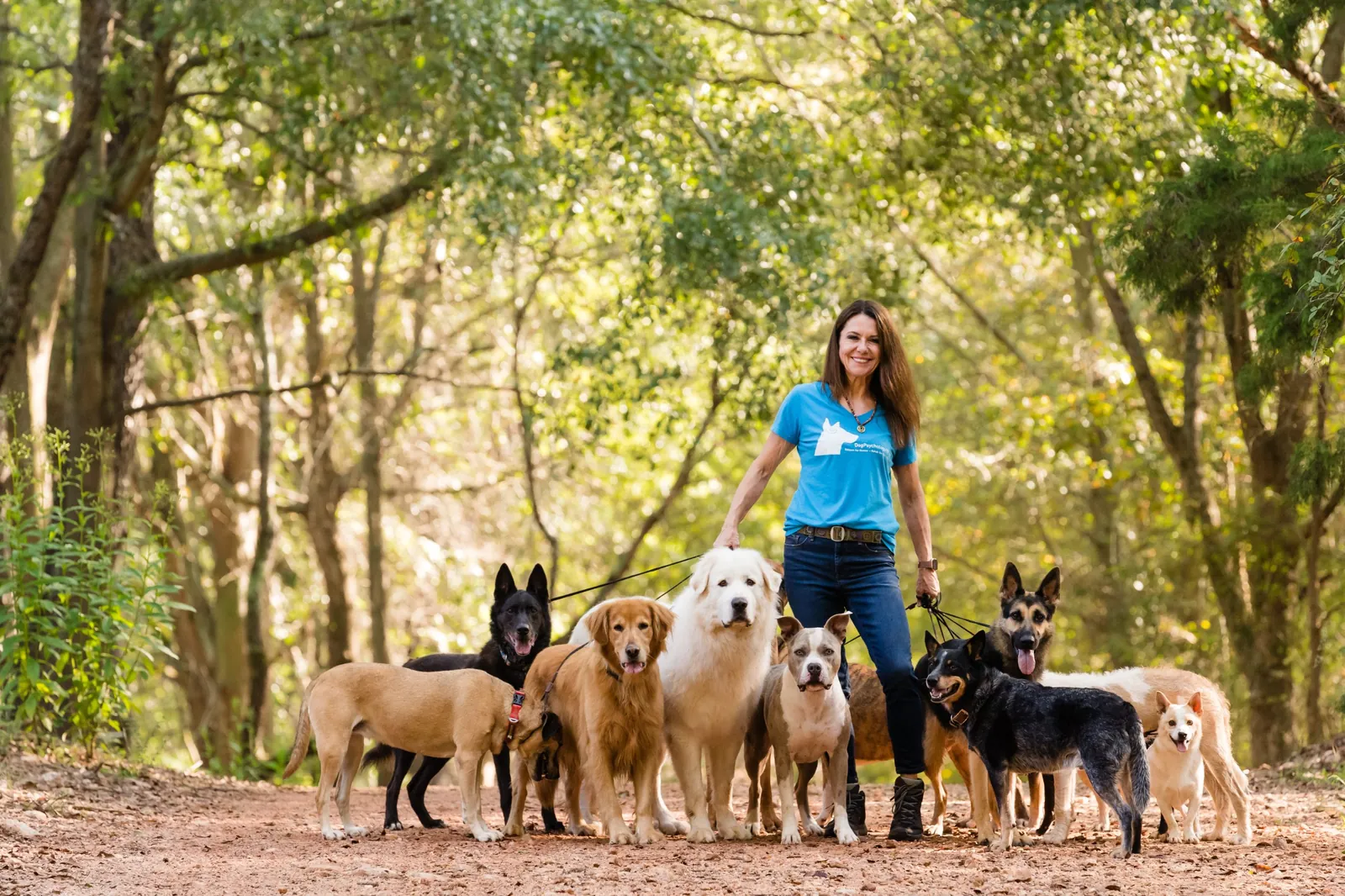 Angie Woods on a wooded trail with a pack of dogs on leash