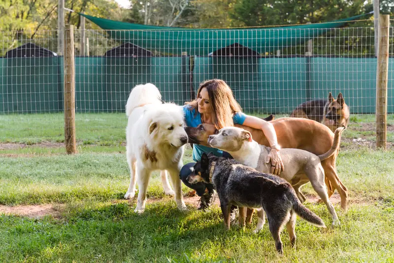 Angie Woods kneeling in a grassy fenced yard, calmly greeting a group of dogs including a Great Pyrenees, a pit bull, a blue heeler and a German shepherd