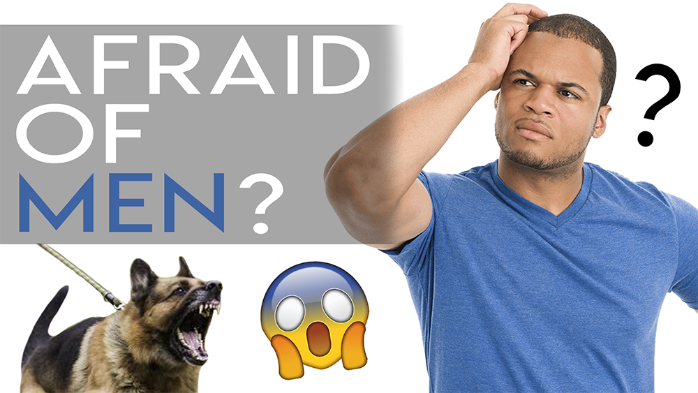 Why Some Dogs Are Afraid of Men